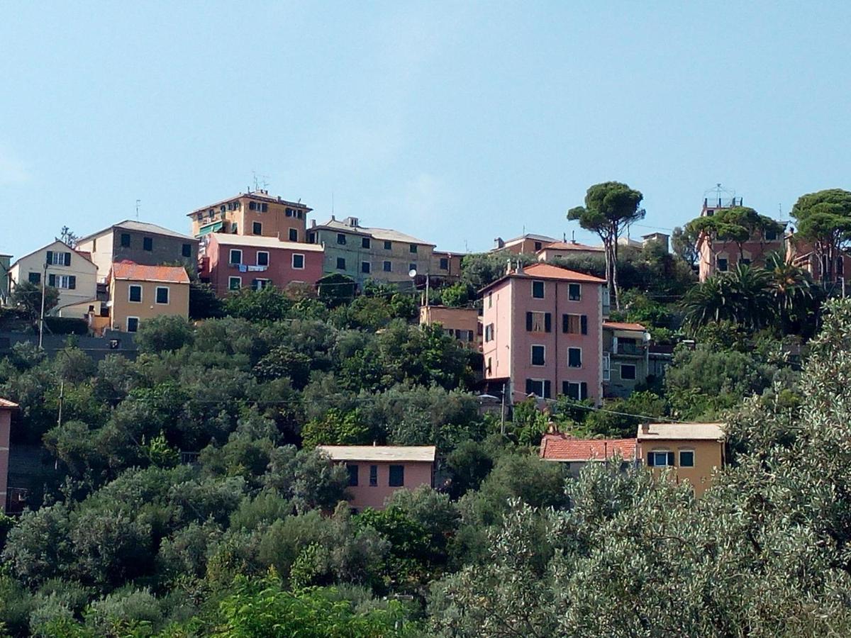 Villino "Il Rustichetto" Villa Cenova Dış mekan fotoğraf